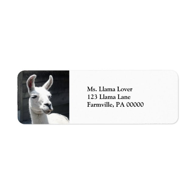 Smiling Llama Return Address Labels (Front)
