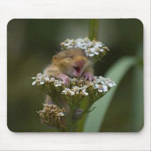 Smiling Mousie on Flower Mouse Mat