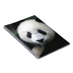 Smiling Panda Bear Notebook