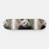Smiling Panda Bear Skateboard (Horz)