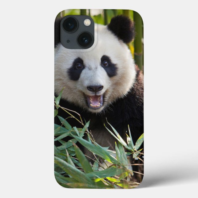 Smiling Panda Portrait Case-Mate iPhone Case (Back)