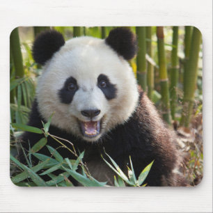 Smiling Panda Portrait Mouse Mat