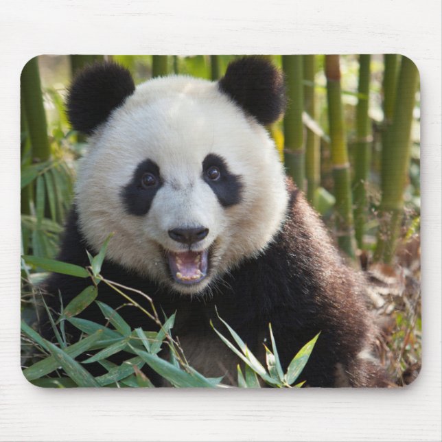Smiling Panda Portrait Mouse Mat (Front)