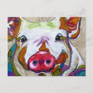 Smiling piggy! postcard