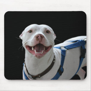 Smiling pit bull mousepad