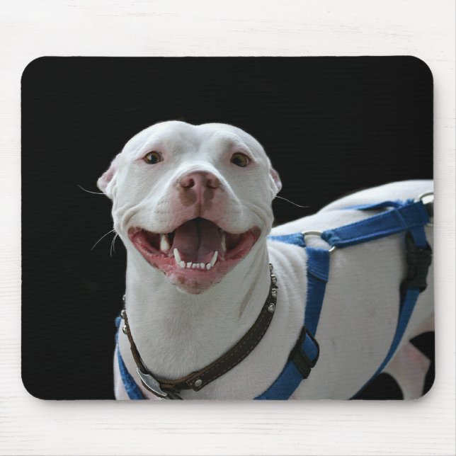 Smiling pit bull mousepad (Front)