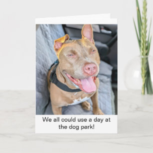 Smiling Pit Bull Take it Easy Card