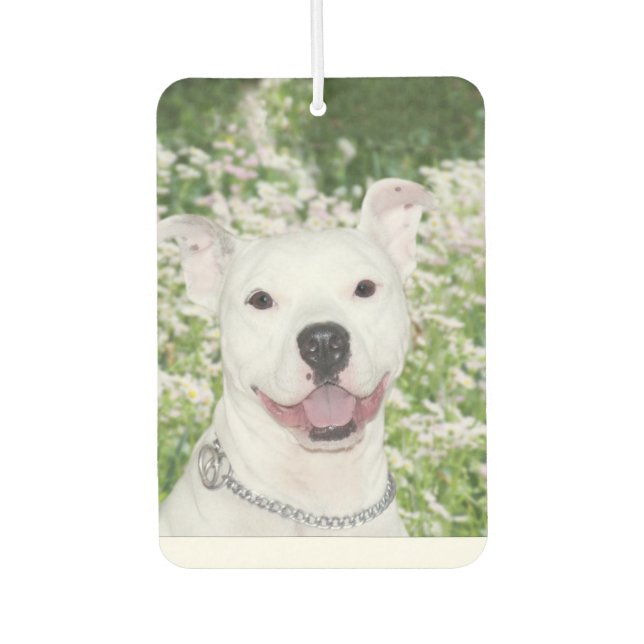 Smiling pitbull car air freshener (Front)
