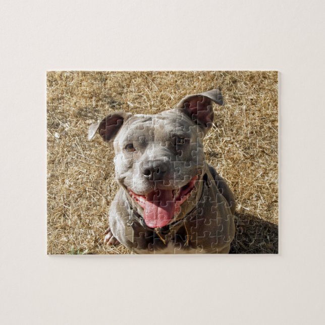 Smiling Pitbull Puzzle (Horizontal)