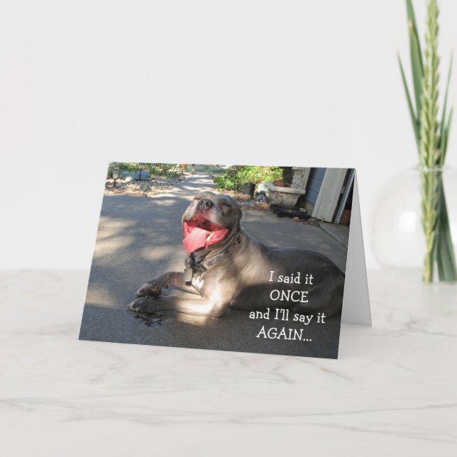 Smiling Pitbull Thank You Card (Front)