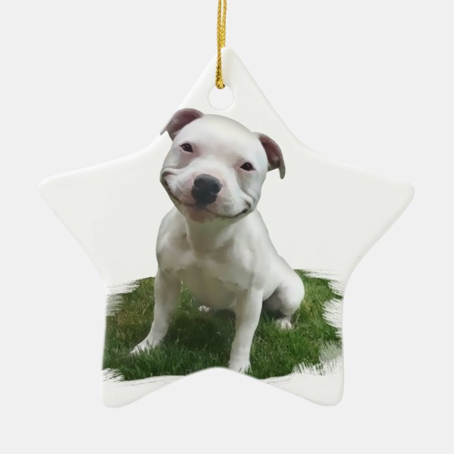 Smiling Pittie Ceramic Tree Decoration (Front)
