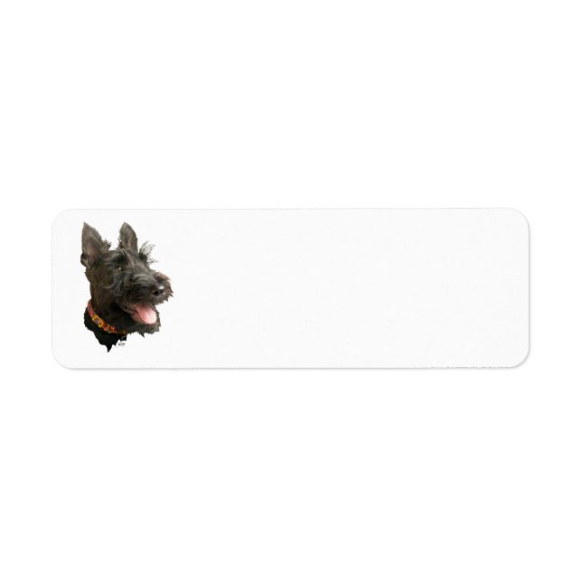 Smiling Scottish Terrier (Front)