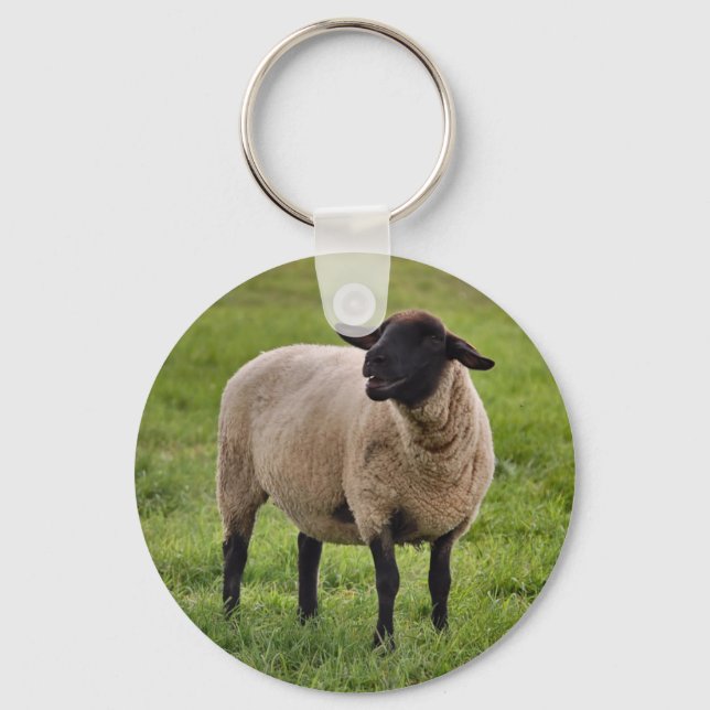 Smiling Sheep Key Ring (Front)