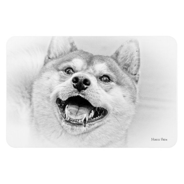 Smiling Shiba Inu dog Magnet (Horizontal)