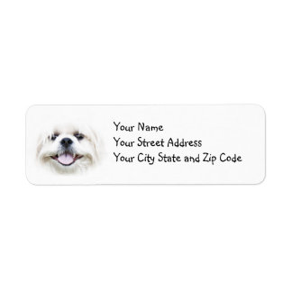 Smiling Shih Tzu