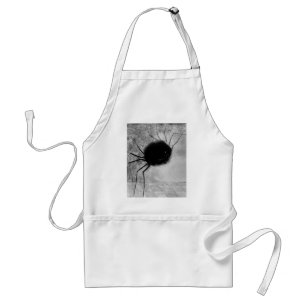 Smiling Spider by Odilon Redon, Vintage Halloween Standard Apron