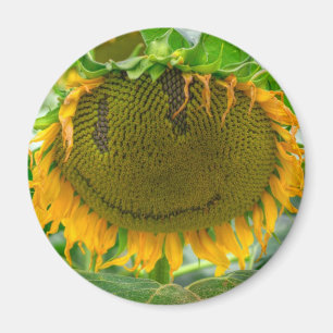 Smiling Sunflower Magnet
