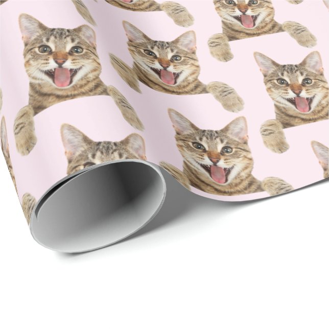 smiling tabby cat on pink wrapping paper (Roll Corner)