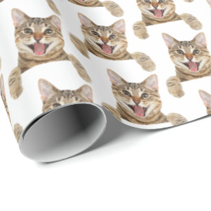 smiling tabby cat on white wrapping paper