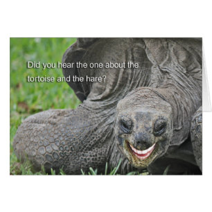 Smiling Tortoise Joke