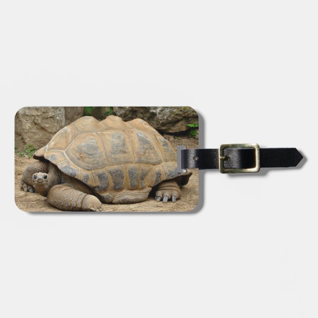 Smiling Tortoise  Luggage Tag (Front Horizontal)
