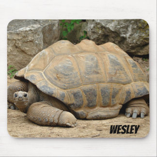 Smiling Tortoise Mouse Mat