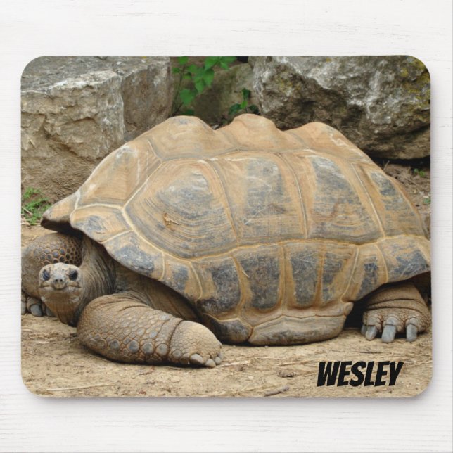 Smiling Tortoise  Mouse Mat (Front)