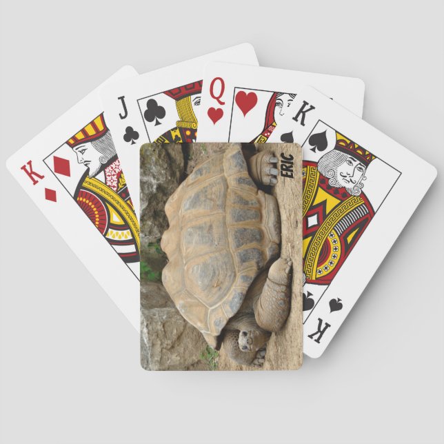 Smiling Tortoise  Playing Cards (Back)