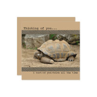 Smiling Tortoise Thinking of You