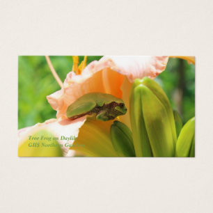 Smiling Tree Frog Pink Lily