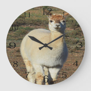 Smiling White Woolly Alpaca, Large Clock