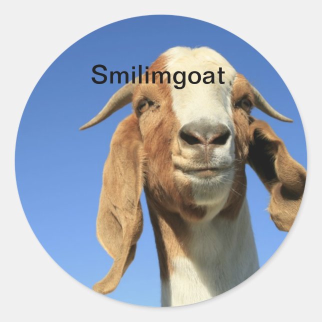Smilingoat Classic Round Sticker (Front)