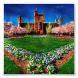 Smithsonian Castle Garden Cherry Blossoms Photo Print