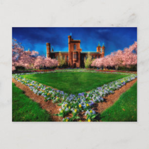 Smithsonian Castle Garden Cherry Blossoms Postcard