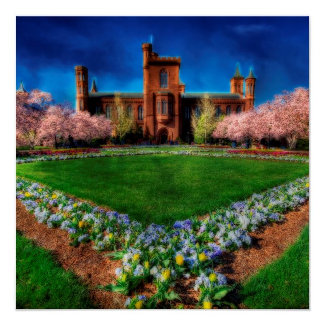 Smithsonian Castle Garden Cherry Blossoms Poster (Front)