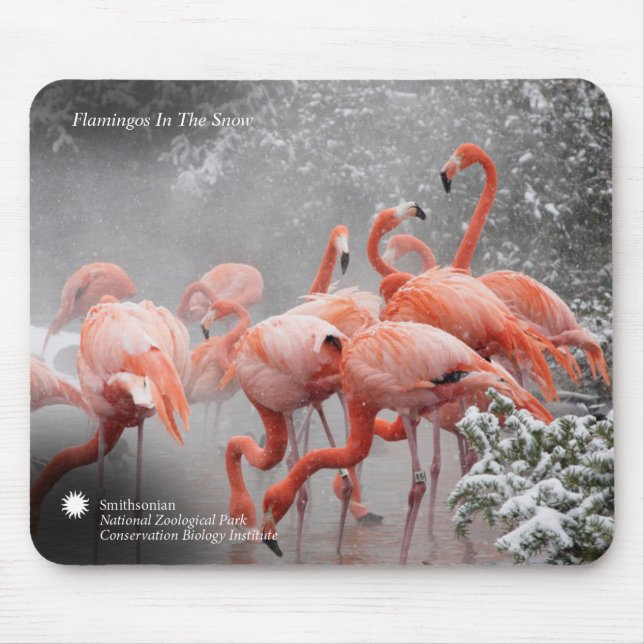 Smithsonian | Flamingos In The Snow Mouse Mat (Front)