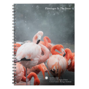 Smithsonian   Flamingos In The Snow Notebook