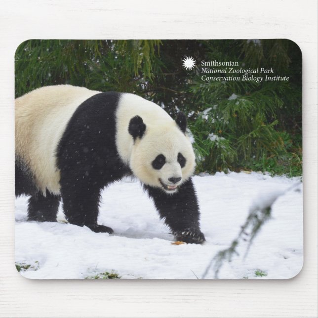Smithsonian | Giant Pandas In The Snow Mouse Mat (Front)