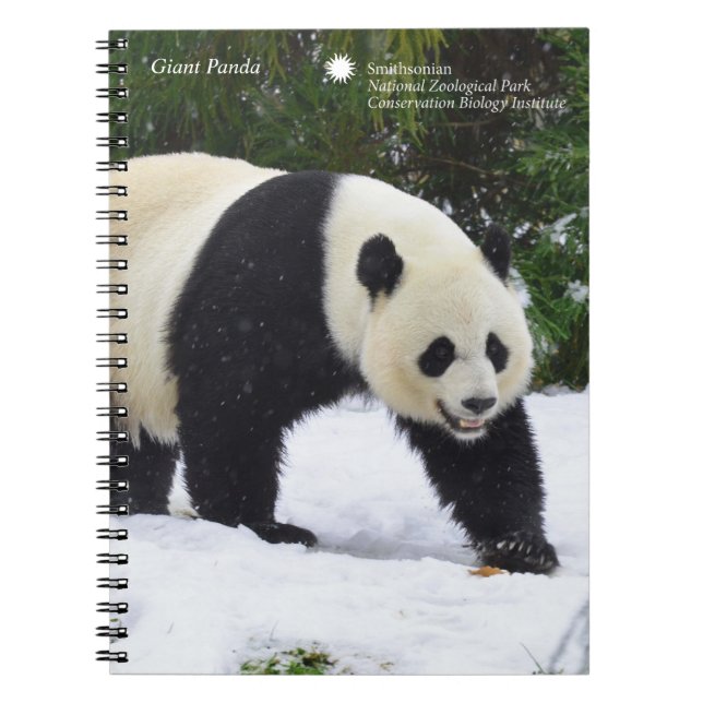 Smithsonian | Giant Pandas In The Snow Notebook (Front)