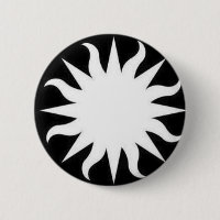 Smithsonian Pin