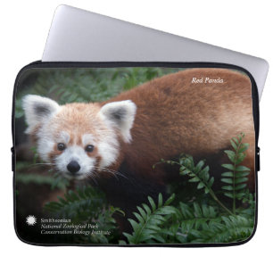 Smithsonian Red Panda Laptop Sleeve