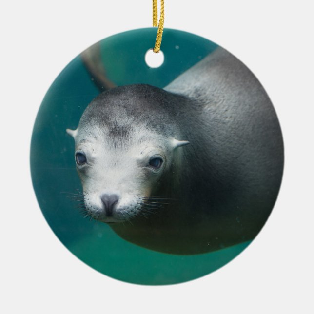 Smithsonian | Sea Lion Ceramic Tree Decoration (Front)