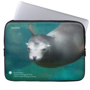 Smithsonian Sea Lion Laptop Sleeve