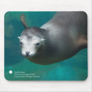 Smithsonian Sea Lion Mouse Mat