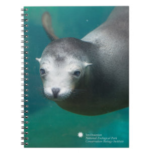 Smithsonian Sea Lion Notebook