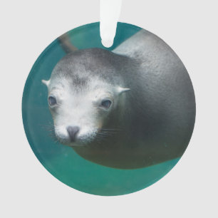 Smithsonian   Sea Lion Ornament