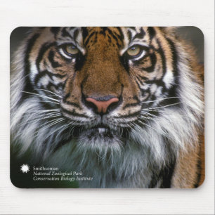 Smithsonian Sumatran Tiger Soyono Mouse Mat