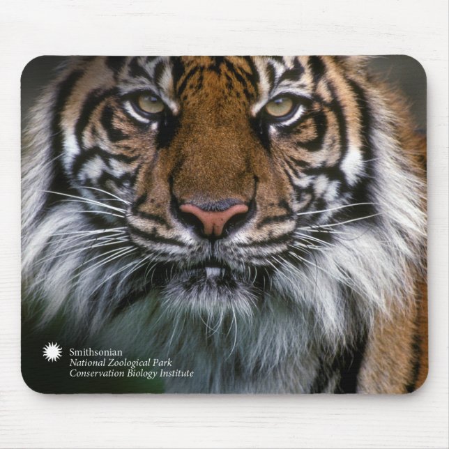 Smithsonian | Sumatran Tiger Soyono Mouse Mat (Front)
