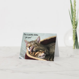 Smitten Kitten For You Holiday Card