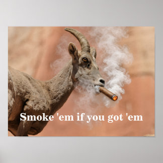 Smoke ‘em If You Got ‘em Poster